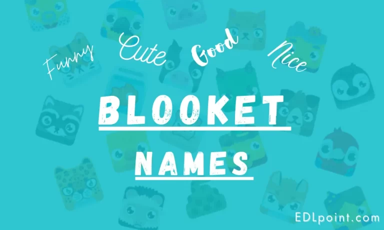 Cool, Funny, Cute, and Good Blooket Names